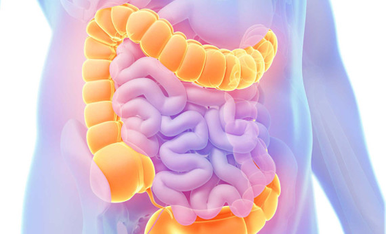 Understanding Colorectal Cancer Screening and Treatment