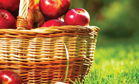 An Apple a Day Keeps the Cancer Away?