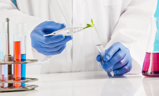 Diet and Cancer Prevention