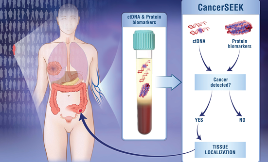New Blood Test Screens for 8 Types of Cancer and 16 Genomic Mutations