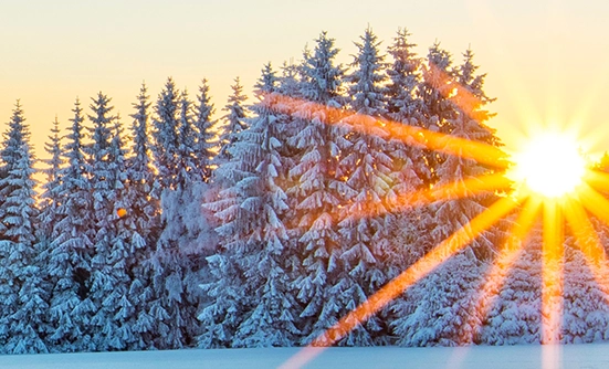 Winter Wellness: Tailoring Your Diet and Fitness Goals for a Healthier Year