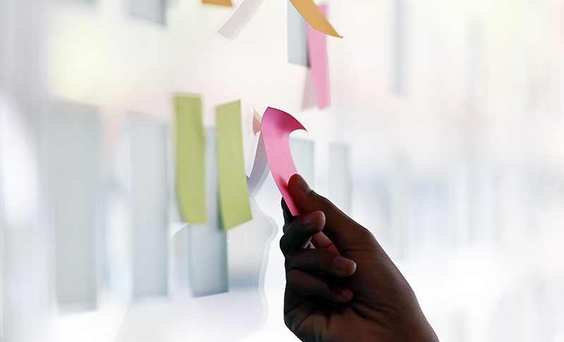 Your Immune System vs Cancer: A Beginner’s Guide to Immunotherapy