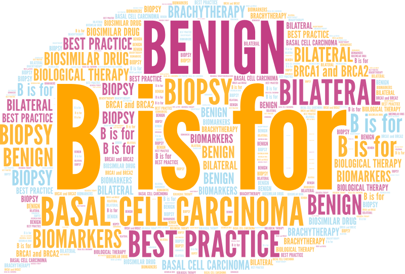 B Word Cloud