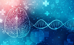 Ceritinib Is Effective in Patients with ALK-Positive NSCLC and Brain Metastases