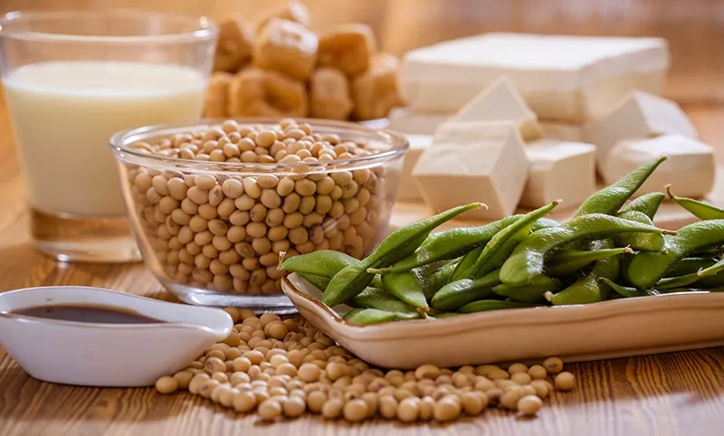 Soy and Cancer Risk